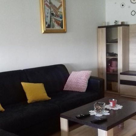 Apartman Lana ,Froudeova Ulica 3 Nasuprot Zg Velesajma Apartment Zagreb Exterior foto