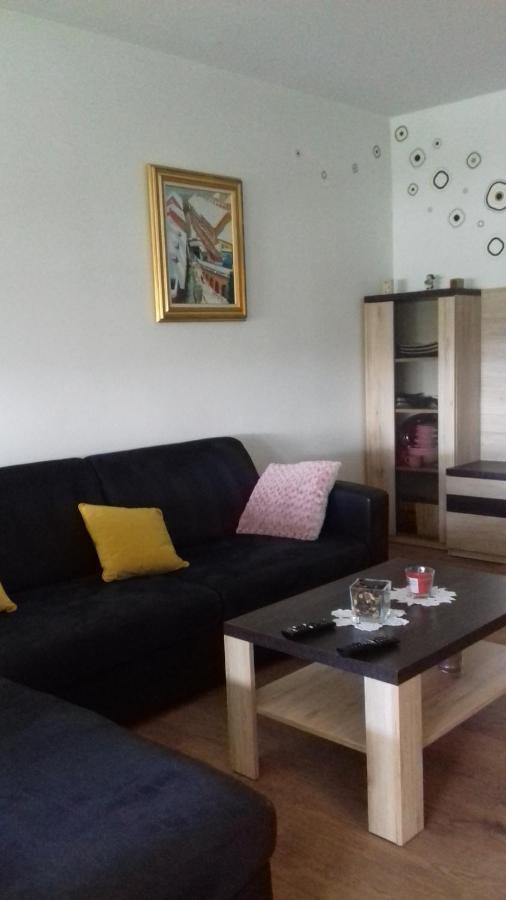 Apartman Lana ,Froudeova Ulica 3 Nasuprot Zg Velesajma Apartment Zagreb Exterior foto